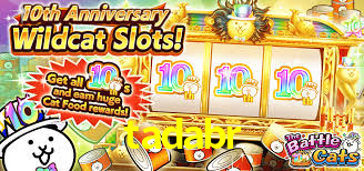 tadabr - Slots De Alta Taxa - tadabr.com